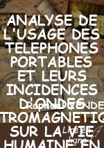 ANALYSE DE L'USAGE DES TELEPHONES PORTABLES ET LEURS INCIDENCES D'ONDES ELECTROMAGNETIQUES SUR LA VIE HUMAINE EN RDC  / VILLE DE BENI