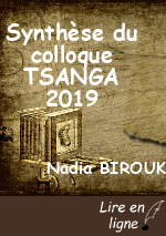 Synthèse du colloque TSANGA 2019